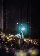 2023-03-03/1cfefeb5783cdfb9a088b7628a758123_5e371bb957ab85a3a1d4ccdc21552129