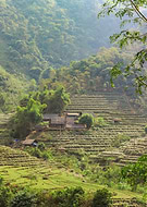 2023-03-04/99cfd06781d743d07ad64397debd2833_7cb4049b9e06b231374cea4ec4139ef8