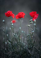 2023-03-04/d2244687b90558917eb9f91f1b34f001_1601fd8ad485784971f1d0e0b59f417e