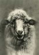 2023-03-06/1da74c7021d77a0d429114d2914e1b03_f9a2d271ea69c345438090ae4b2f4138