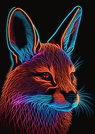 2023-03-07/c0064b33af64668895e95d9a6631ba2d_d22e95b73cc6b62f4ebbf023957dd39a