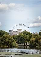 2023-03-08/31688846e52c961265c0b46b88800042_f3e194cf1c1408f6437abeeba31d94df