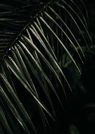 2023-03-10/3deb185a66441a4efe5443c74bcfb2b4_5061cd96d875373e3df28126941f977a