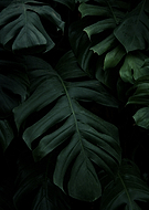 2023-03-10/a46c84a70fca1c4ec369f6b0aaff6c9d_5b37a1353abafabd7fb05b8c91815ea2