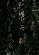 2023-03-10/ebee56b97fc8422e205df6a35cb14fe1_c9b8895c2b278d8551f9aacffd7caba2