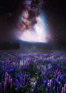 2023-03-14/c8c3c76239d372cd0bc40eae0874a8ec_b2fe32e134f0daaddbc2a78a4601aef4