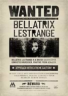 collection-preview-2