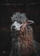 2023-03-17/296f74f5e87bde80a4f5013db41bca9b_4a465d7da5ec0a50cb9f30cb072008ac