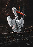 2023-03-17/6c3b4776d5a66356f798716fdc400162_6572518536dde406558a64dc1d3829d8