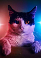 2023-03-17/b51ff4dad643f037c99180ed3f10344f_3e4b19b971d69b6026303bd85816be35