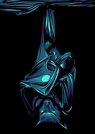 2023-03-20/ef57cc6912a7a06fdc4eb1c329282bf9_034b17e337a6581c271443bc133e6263