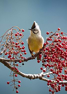 2023-03-25/d84707df583b10d759757e45c9390a53_0656b42537d119cddaff59443441c2df