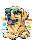 2023-03-28/9110396f0a5183f38003d72c99635cdf_6daaf8e9e3ef7800ad2426ff6a406b73