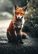 2023-03-31/0844b6fb74e9b6013be26a0cef6d91fb_04ed4d2a66150ae93019acdf401e49e0