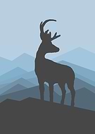 2023-03-31/39c44d3507a9602f98491e6037f8e46c_3252d3a7e3033444b96a5b9f78eebc31