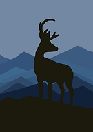 2023-03-31/c82f04a41d33d8a8f144093bdd4f6160_6d2046bb707f54733b66cb05b7cbbf4e