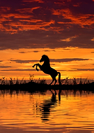 2023-04-10/38dc763b2de9fa762e1c3853270eb91a_d84b2dfdd87d8eaf41ceac4dd85eb6b2