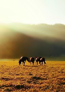 2023-04-10/71c92fe430b0559fd14f58b76814e945_656fc406cdfbd013db26320402cb6c54