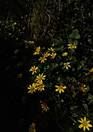 2023-04-10/d3b8ccf8c7fa3e8a2e63c45607829a15_504ae1c10b768068bae34da791c0bbb2