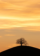 2023-04-11/07bf5a478510725e8a14d5b555315b4d_f49207374434cc27611a7d725217e1d5