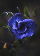 2023-04-20/40f9f976a3e805708f48ae1f5c27a72d_54ffbb7c2d870a9efba4383883a407b5