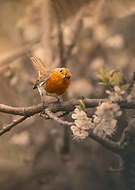 2023-04-22/e1a3ca077e640364d91f7910ef9d6a99_0d25b3364075842f6a313e46a6912dc0