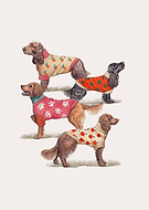 2023-04-25/b97ad9a47e99c5aee69a31e6ee0e2692_e859ed06bd69be0b4bf5deb92f43aef6