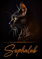 2023-04-29/36878f1ed8b79918ac9378c1a5210d53_d6116679a090afcbc31b876e8d554d56