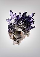 2023-04-30/d8d1da8a276a9705fb8ee7ead4b05652_9ee4bc548e20e7ca7df49f63be5f165b