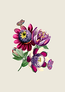 2023-05-03/93df41fa5fd9d69424261f79c2174af2_43901bb10171ac4c5a8be5aedbeb335e