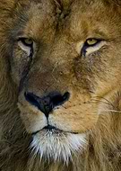 2023-05-03/f02eaa820018b96bb0313992a54e1c34_a7ffba34bab3bffe13466d055975e575