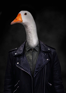 2023-05-07/425a1325ef51fec8b6ca9c083a7303f7_fc7f49533d27c00c0f0b439b5d810dd3