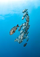 2023-05-20/c64ac81305f656c6c3a334ddb18a0169_d7b1190a8209e7e261916262d9d464ec