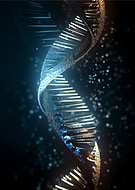 2023-05-24/0ef1c7038060a314be1e8bd3a6a1d44e_11c1272d996114012b87f5645c3ccd94