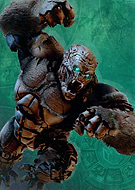 collection-preview-3