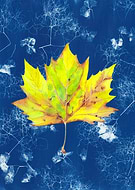 2023-05-28/915bf2af60032a755aefe193d4e06b92_f77311620bba8854b2e94e9d5618ca54