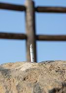 2023-05-29/36a8f6b51f0187bebdef6081d3c33de2_04d60351579da5d023b94c763e113392