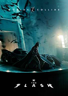 collection-preview-3