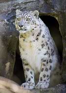 2023-06-01/cfe7ccd8ef898a805675f81a3e3e59c5_0bf4e2e9649b576dc63f7ade308fac90