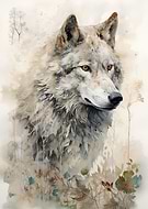 2023-06-05/75a7094ece0f3bfb1c52abe7f049d23a_b8dbc8582be42f2b219cc10420c97d49