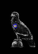 2023-06-05/79f268c5f3d298347423e853a14cee37_be18eae97eeb4e76ab313602b9dfa495