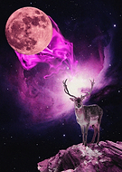 2023-06-05/bf302ab0023b245dede61cf3c83a767f_2b1c3e5aa812fa50f01b6ed9e6c62f90