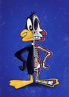 collection-preview-1