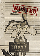 collection-preview-3