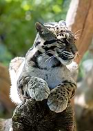 2023-06-06/f0a06e86081197c514dc4ee81bafc809_693d035a4697c60b0e9aef356f009c1a