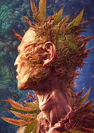 2023-06-07/a9619099826cee2718afaf4212b6b775_bf8e6a29e83d190b454f70254fea54b8