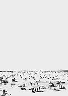 collection-preview-1