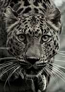 2023-06-16/cfe4e195cf2d96ae348cd4a1d5f94c13_ed0ccbf62f9d17b7f834eecef6cb6ad1