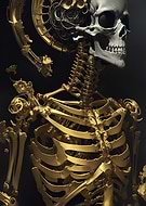 2023-06-19/c8e01cb1710d8381b913ef23f2a25509_017664a9c36b63379fabccc6af1d25c2