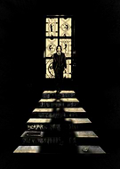 collection-preview-2